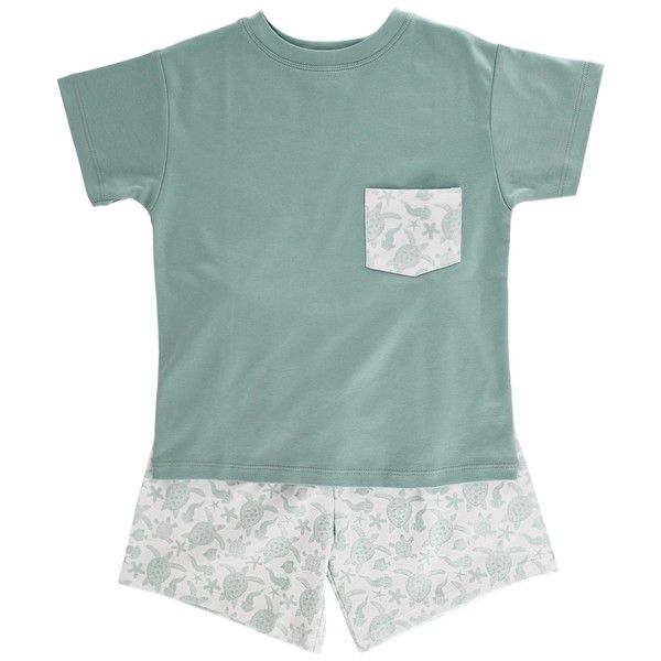 Turtle Print - Knit Boys Short Set