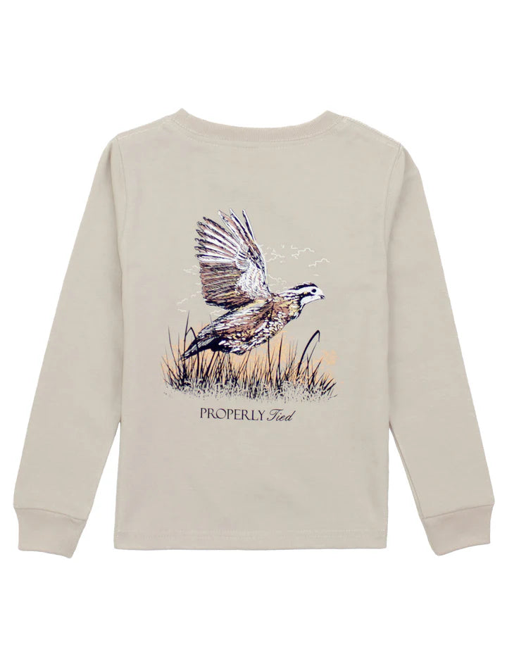 Boys Pintails LS Ice Grey Tee