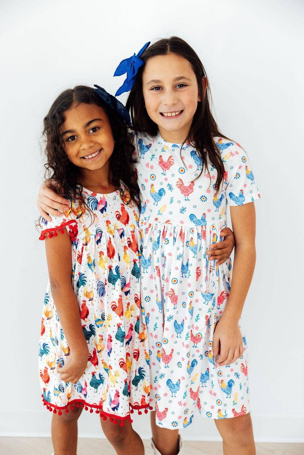 Rainbow Roosters S/S Pocket Twirl Dress