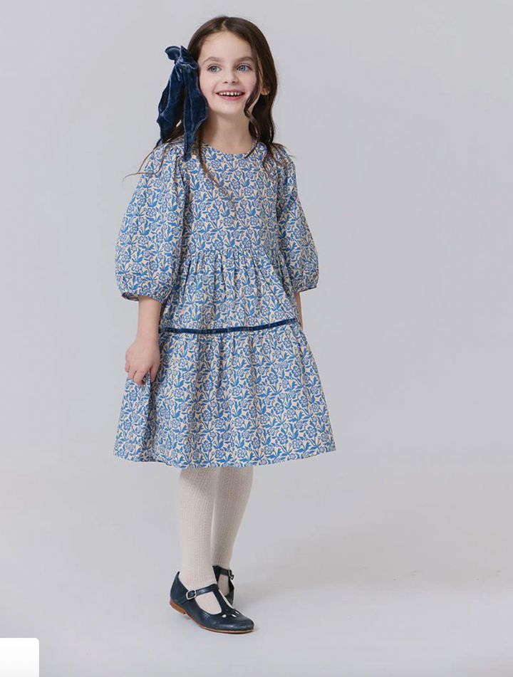 Girls Maribelle Dress - Blue Climbing Floral