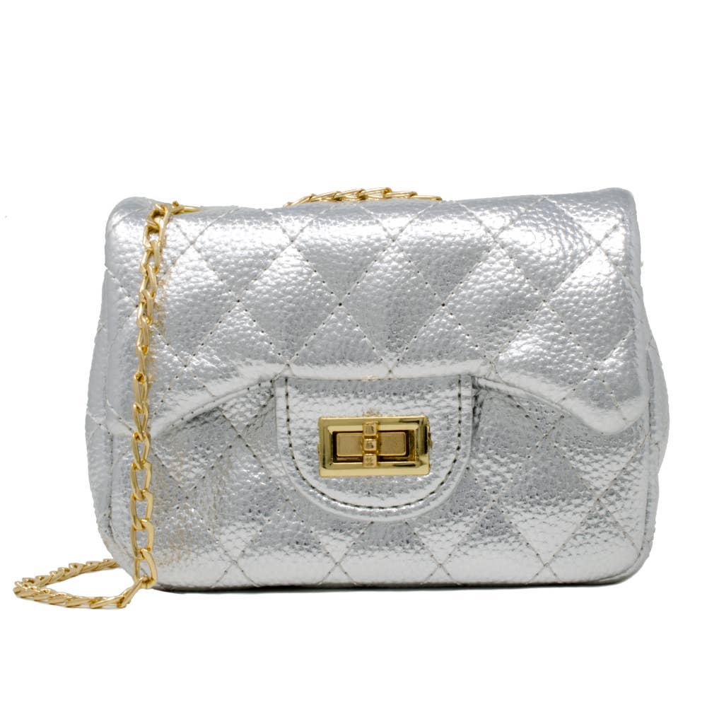 Metallic Mini Purse: Silver