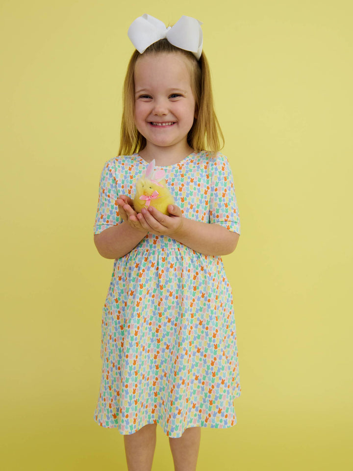 Girls Hoppy Eggs Short Sleeve Knit Twirl Dress