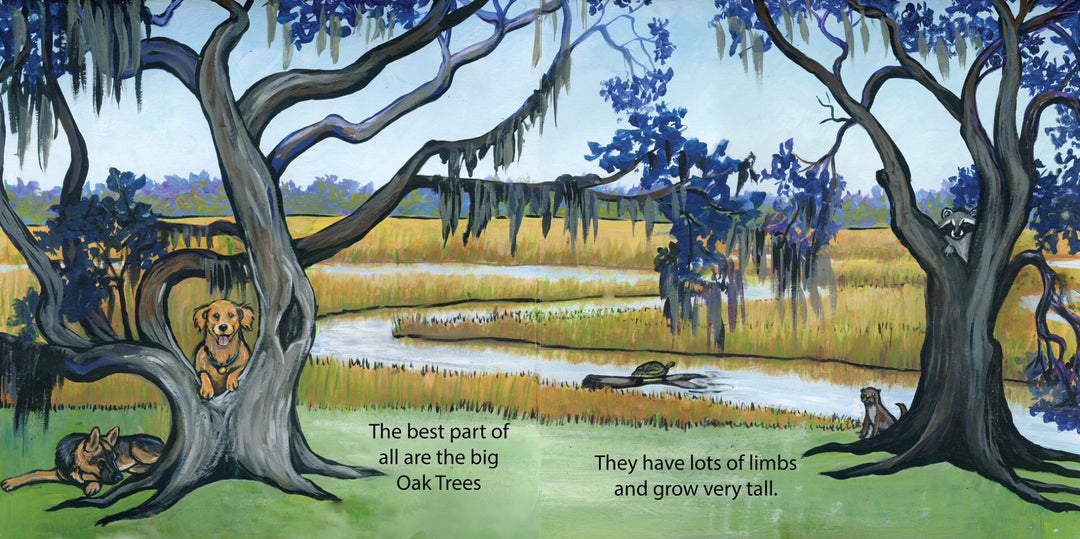 Plantation Playground Book